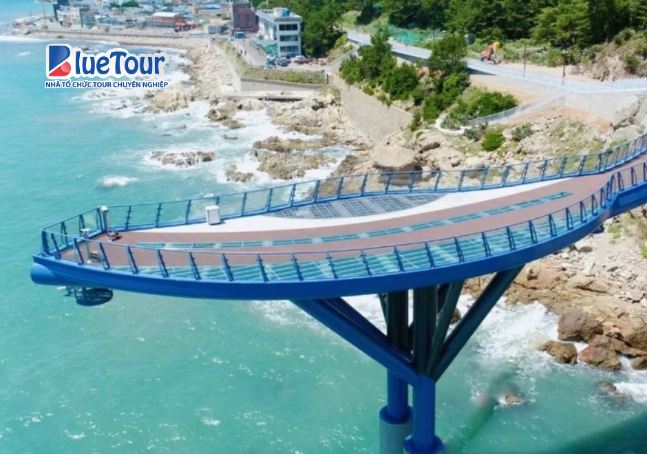 Trải Nghiệm Tàu Haeundae Vào Mùa Thu: Ngắm Biển Busan Giữa Sắc Lá Vàng