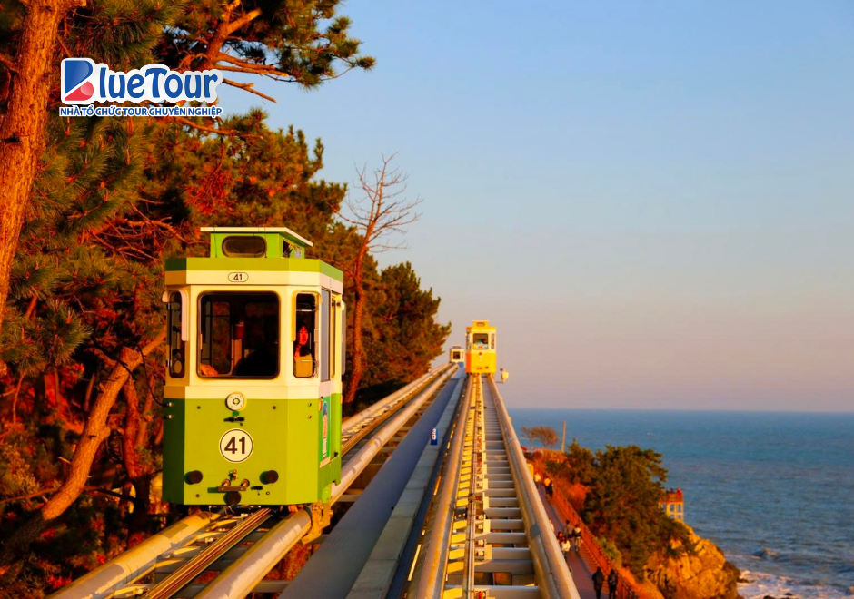 Trải Nghiệm Tàu Haeundae Vào Mùa Thu: Ngắm Biển Busan Giữa Sắc Lá Vàng
