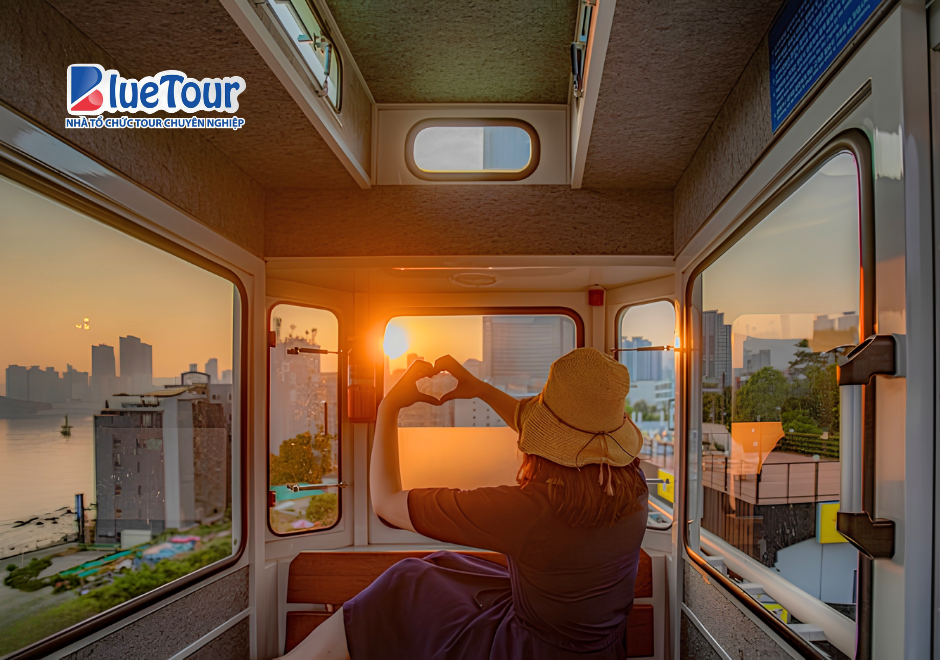 Trải Nghiệm Tàu Haeundae Vào Mùa Thu: Ngắm Biển Busan Giữa Sắc Lá Vàng