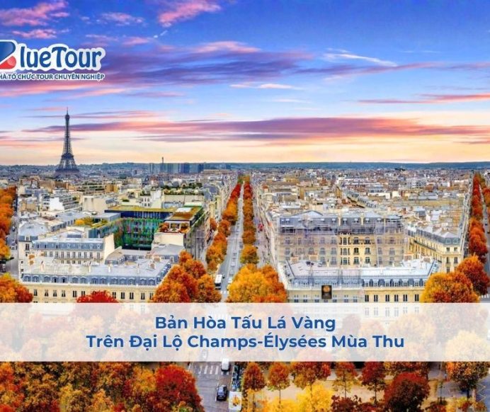 Bản Hòa Tấu Lá Vàng Trên Đại Lộ Champs-Élysées Mùa Thu
