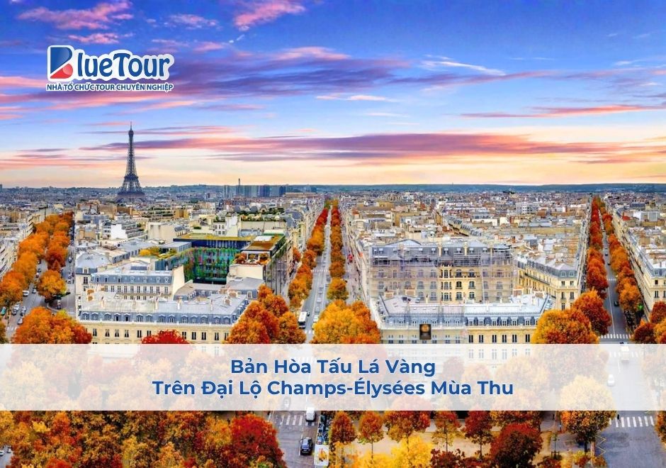 Bản Hòa Tấu Lá Vàng Trên Đại Lộ Champs-Élysées Mùa Thu