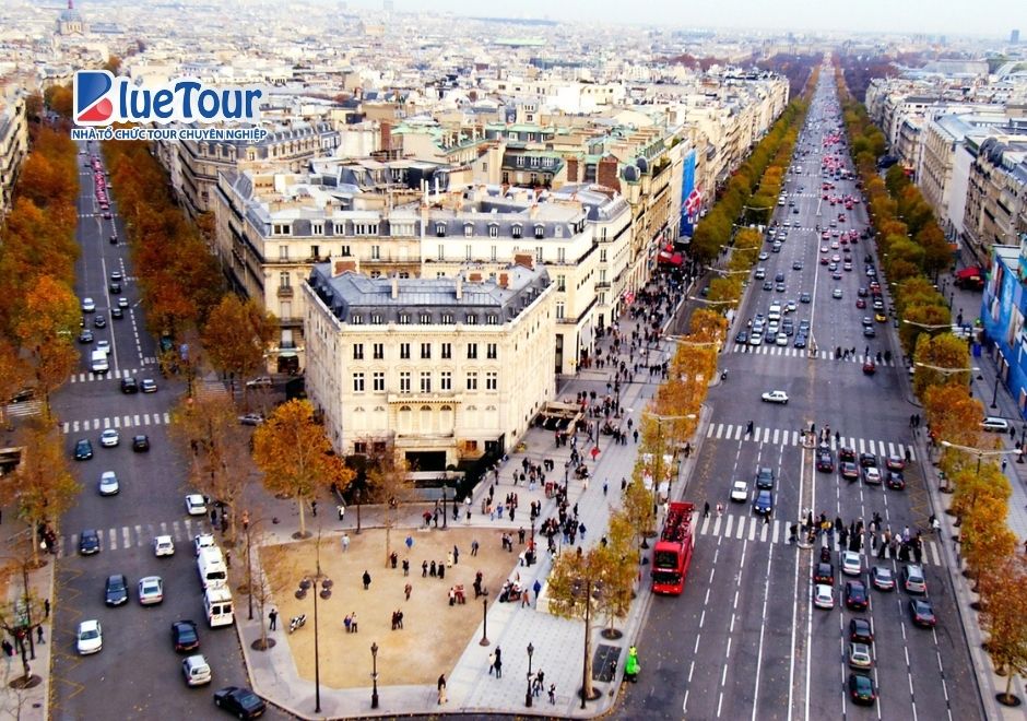 Bản Hòa Tấu Lá Vàng Trên Đại Lộ Champs-Élysées Mùa Thu