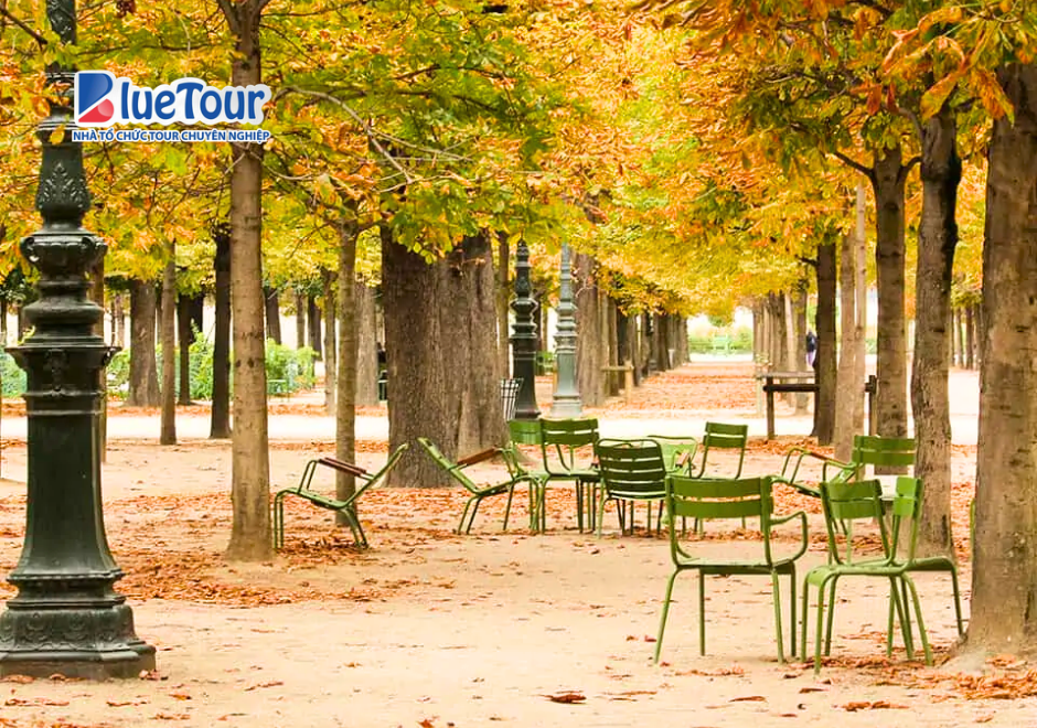 Bảo Tàng Louvre Mùa Thu: Khúc Ca Khải Hoàn Điện Ảnh Giữa Lòng Paris Lãng Mạn