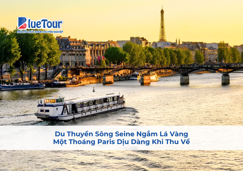 Du Thuyền Sông Seine Ngắm Lá Vàng: Một Thoáng Paris Dịu Dàng Khi Thu Về