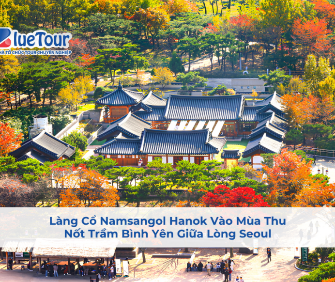 Làng Cổ Namsangol Hanok Vào Mùa Thu: Nốt Trầm Bình Yên Giữa Lòng Seoul
