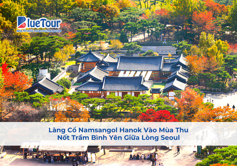 Làng Cổ Namsangol Hanok Vào Mùa Thu: Nốt Trầm Bình Yên Giữa Lòng Seoul