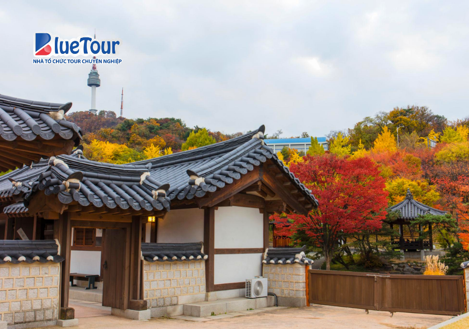 Làng Cổ Namsangol Hanok Vào Mùa Thu: Nốt Trầm Bình Yên Giữa Lòng Seoul
