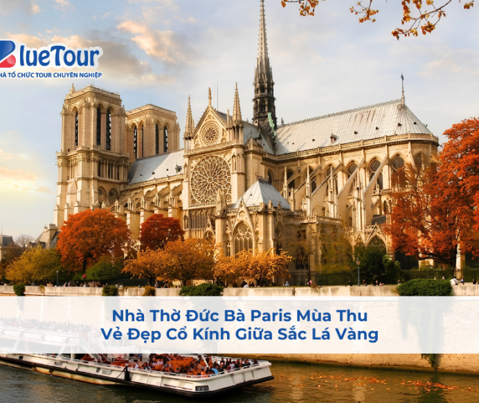 Nhà Thờ Đức Bà Paris Mùa Thu: Vẻ Đẹp Cổ Kính Giữa Sắc Lá Vàng