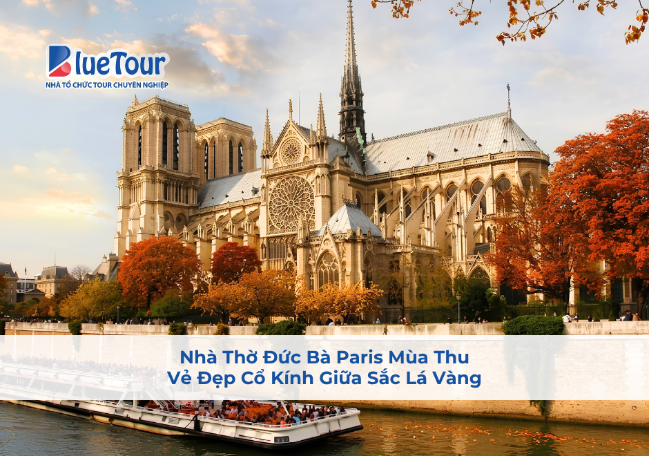 Nhà Thờ Đức Bà Paris Mùa Thu: Vẻ Đẹp Cổ Kính Giữa Sắc Lá Vàng