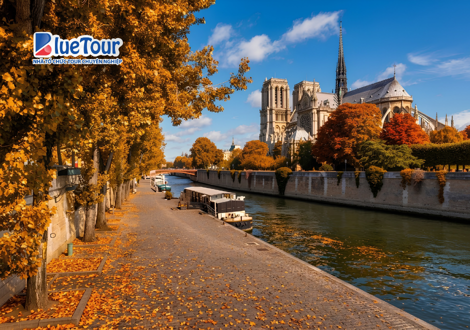 Nhà Thờ Đức Bà Paris Mùa Thu: Vẻ Đẹp Cổ Kính Giữa Sắc Lá Vàng