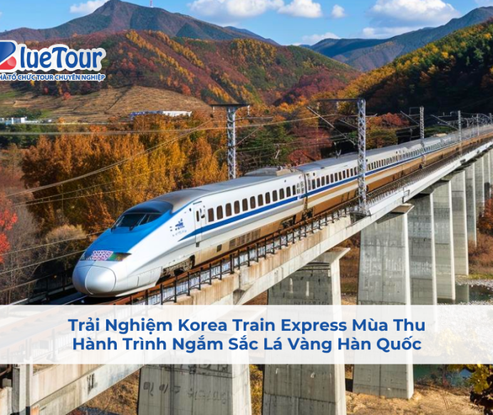 Trải Nghiệm Korea Train Express Mùa Thu: Hành Trình Ngắm Sắc Lá Vàng Hàn Quốc