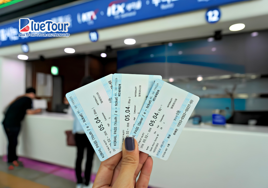 Trải Nghiệm Korea Train Express Mùa Thu: Hành Trình Ngắm Sắc Lá Vàng Hàn Quốc