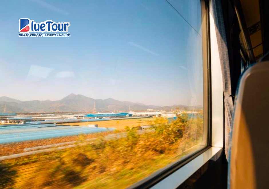 Trải Nghiệm Korea Train Express Mùa Thu: Hành Trình Ngắm Sắc Lá Vàng Hàn Quốc